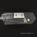 Collapsible Squirrel Trap Cage Squirrel Trap Steel Rabbit Trap Cage Supplier